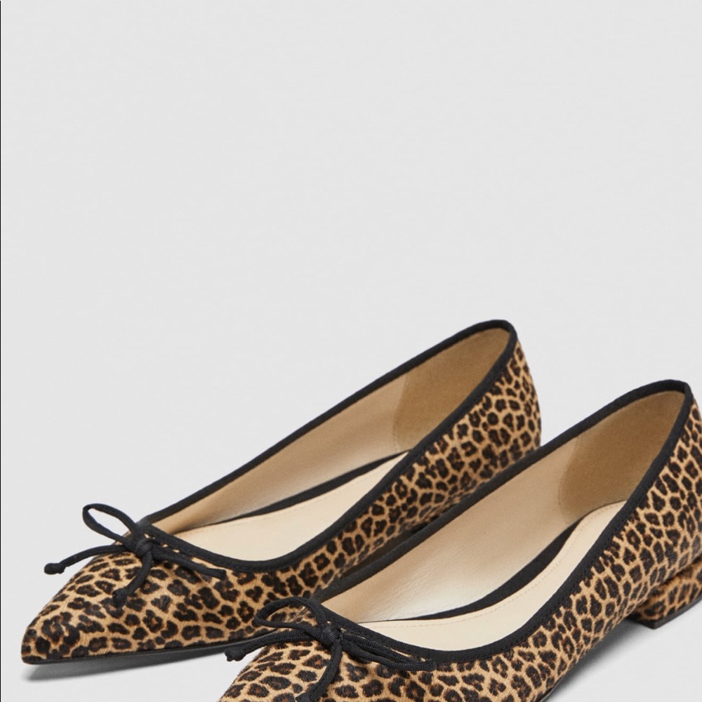 Zara flat - Picture 4 of 6